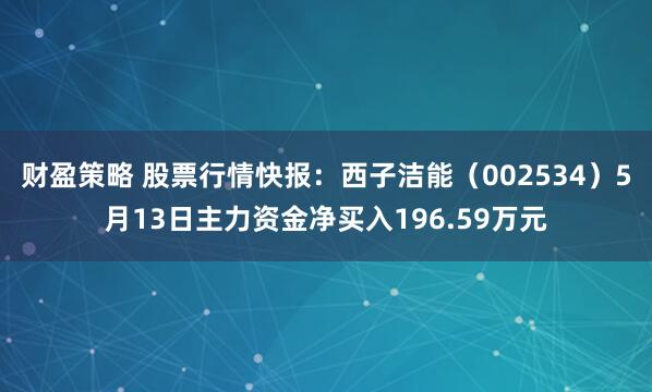 财盈策略 股票行情快报：西子洁能（002534）5月13日主力资金净买入196.59万元