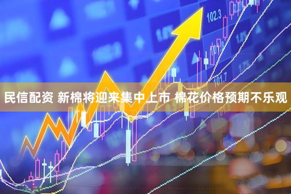 民信配资 新棉将迎来集中上市 棉花价格预期不乐观