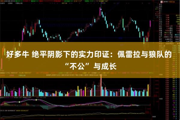 好多牛 绝平阴影下的实力印证：佩雷拉与狼队的 “不公” 与成长